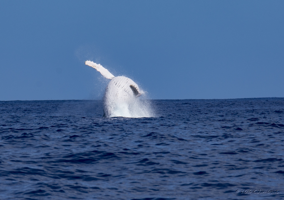 _DSC2577.jpg _DSC2577.jpg