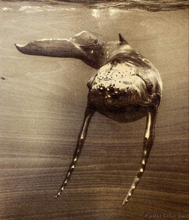 MOR20191007_5670.jpg