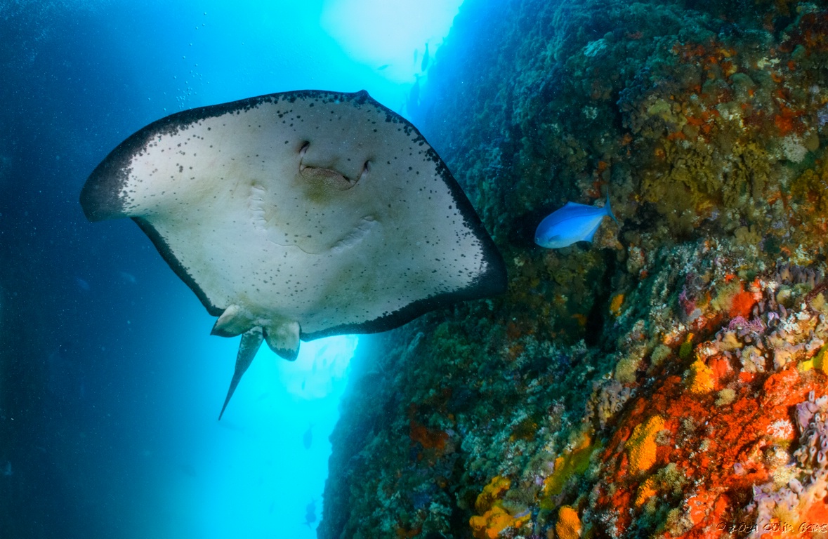 MOR20191007_5670.jpg